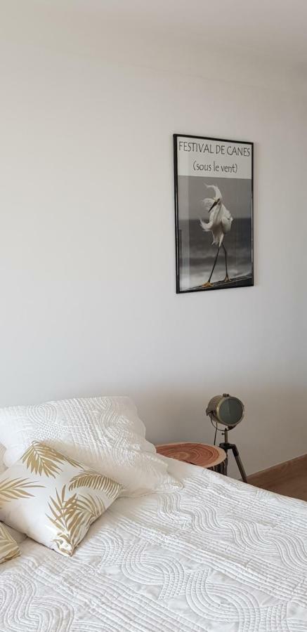 Apartmán La Goelette - Palais Des Festivals Cannes Exteriér fotografie